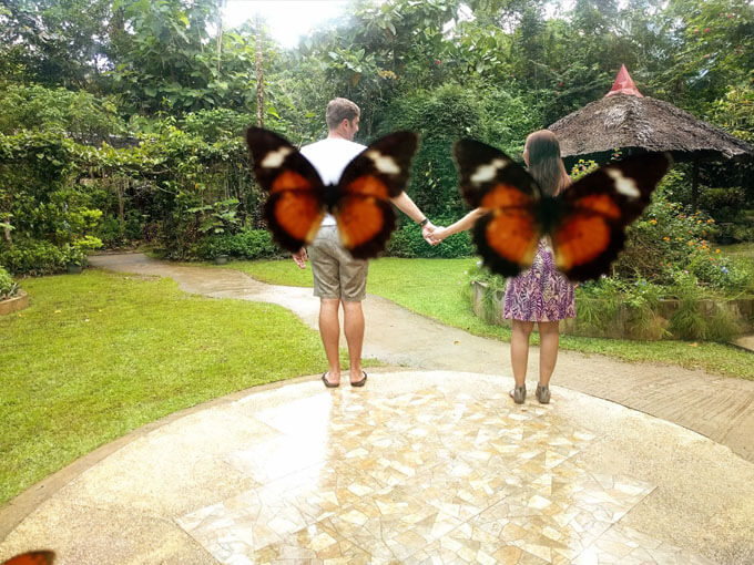Bohol Bilar Butterfly Sanctuary