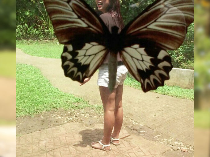 Bohol Butterfly Sanctuary